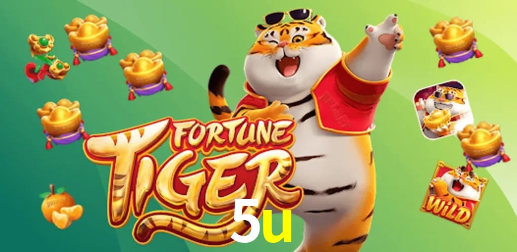 Experiência VIP 5u