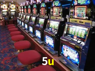 Descubra a Essência do 5u: Nossa História e Compromissos